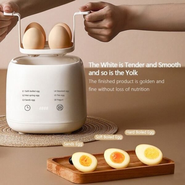Automatic Boiled Egg Maker with Power-Off Feature