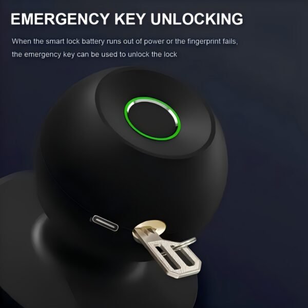 Smart Fingerprint Door Handle Lock
