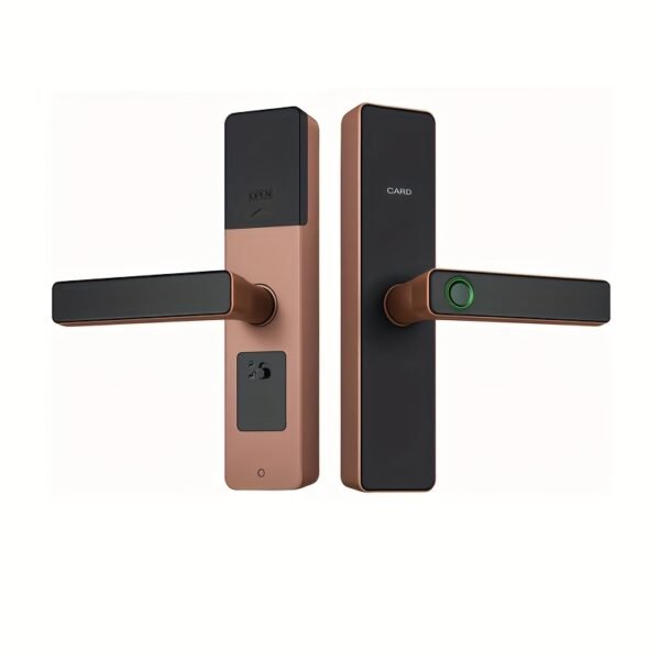 Fingerprint Electronic Password Lock - 5-in-1 Door Lock with Handle Touch Keypad