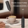 Whisk Milk Frother Handheld Electric Mixer